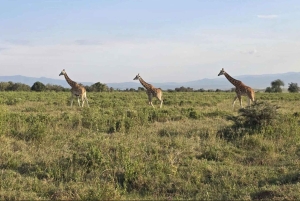 Найваша: велосипедная прогулка по природе, национальный парк Хеллс-Гейт