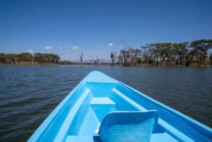 Naivasha: Passeio de barco e tour guiado à Ilha Crescent