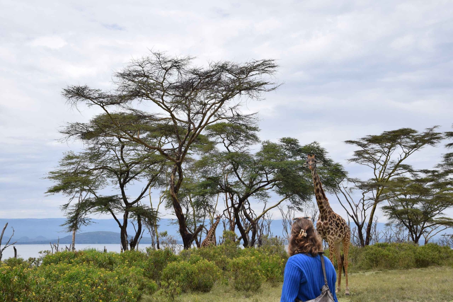 Safari piesze na wyspie Crescent Island w Naivasha i wycieczka rowerowa przez Hell's Gate
