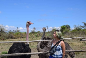 Safari piesze na wyspie Crescent Island w Naivasha i wycieczka rowerowa przez Hell's Gate