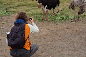 From Nairobi to Lake Naivasha Day Trip (Hells Gate visit)