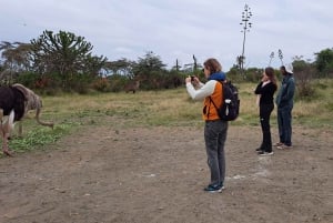 From Nairobi to Lake Naivasha Day Trip (Hells Gate visit)