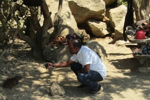 From Nairobi to Lake Naivasha Day Trip (Hells Gate visit)
