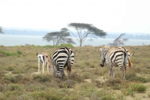 From Nairobi to Lake Naivasha Day Trip (Hells Gate visit)