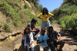 From Nairobi to Lake Naivasha Day Trip (Hells Gate visit)