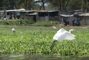 From Nairobi to Lake Naivasha Day Trip (Hells Gate visit)