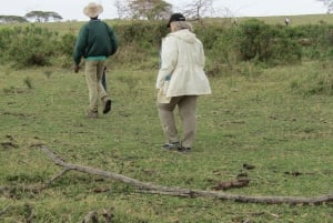 From Nairobi to Lake Naivasha Day Trip (Hells Gate visit)