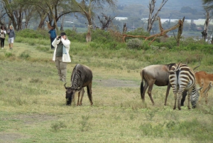 From Nairobi to Lake Naivasha Day Trip (Hells Gate visit)