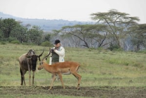 From Nairobi to Lake Naivasha Day Trip (Hells Gate visit)