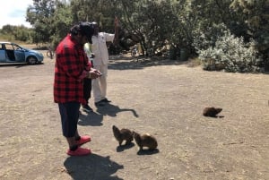 From Nairobi to Lake Naivasha Day Trip (Hells Gate visit)