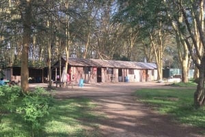 Naivasha: Lake Naivasha Dining Experience at Carnelly’s