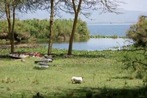 Naivasha: Lake Naivasha Dining Experience at Carnelly’s