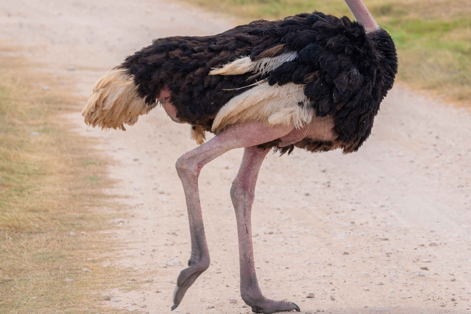 Naivasha: Lago Naivasha e Parque Nacional Hell's Gate