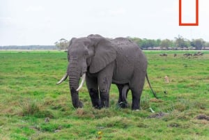 Naivasha : lac Naivasha et parc national de Hell's Gate
