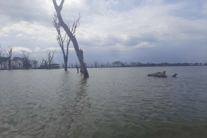 Naivasha : lac Naivasha et parc national de Hell's Gate