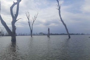 Naivasha : lac Naivasha et parc national de Hell's Gate