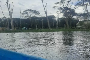 Naivasha : lac Naivasha et parc national de Hell's Gate
