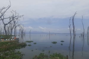 Naivasha : lac Naivasha et parc national de Hell's Gate