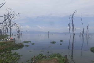 Naivasha : lac Naivasha et parc national de Hell's Gate