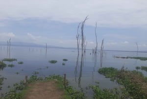 Naivasha : lac Naivasha et parc national de Hell's Gate