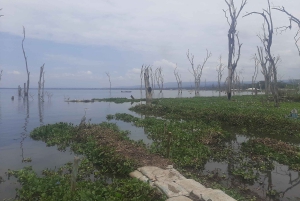 Naivasha : lac Naivasha et parc national de Hell's Gate