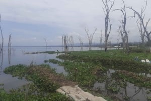 Naivasha : lac Naivasha et parc national de Hell's Gate