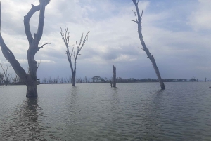 Naivasha: Lago Naivasha e Parque Nacional Hell's Gate