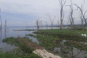Naivasha: Lago Naivasha e Parque Nacional Hell's Gate