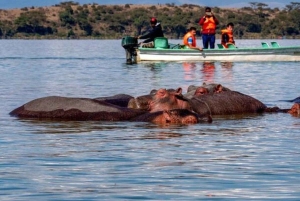 Naivasha: Savannah Park Guided Game Drive and Walking Tour