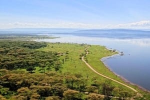 Nakuru National Park Day Trip