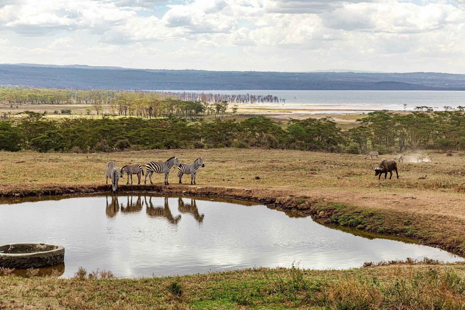 nakuru:visite guidée privée