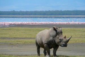 nakuru:privat guidad tur