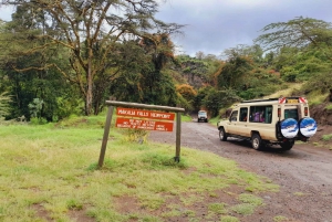 Nakuru l'esploratore (Naivasha e Nakuru in 2 giorni)