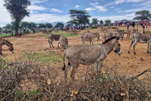Namanga: Maasai Cattle Market Tour with Breakfast