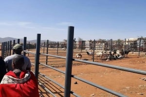 Namanga: Maasai Cattle Market Tour with Breakfast