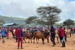 Namanga: Maasai Cattle Market Tour with Breakfast