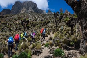 Nanyuki: 4-Day Mount Kenya Trek with Guide & Meals
