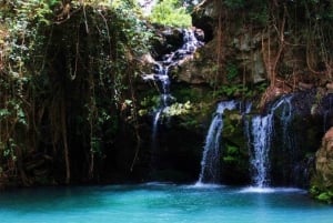 Nanyuki : Ngare Ndare Dagtrip