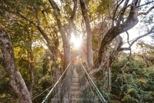 Nanyuki : Ngare Ndare Dagtrip