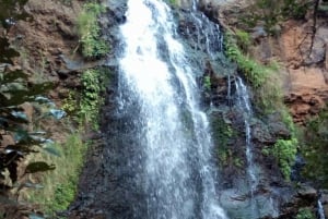 Nanyuki : Ngare Ndare Dagtrip