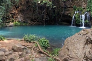 Nanyuki : Ngare Ndare Dagtrip