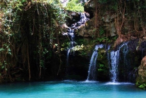 Nanyuki : Ngare Ndare Dagsutflykt