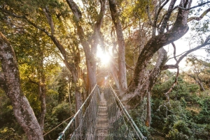 Nanyuki : Ngare Ndare Dagsutflykt