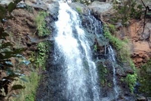 Nanyuki : Ngare Ndare Dagsutflykt