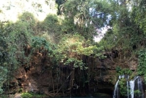 Nanyuki : Ngare Ndare Dagsutflykt