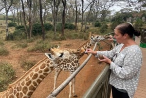 Excursão de um dia ao Parque Nacional, Bebê Elefante e Centro de Girafas