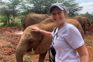 Nasjonalpark, sjiraffsenter og elefantunger i Nairobi