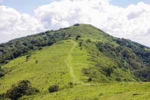 Dia inteiro de caminhada nas colinas de Ngong