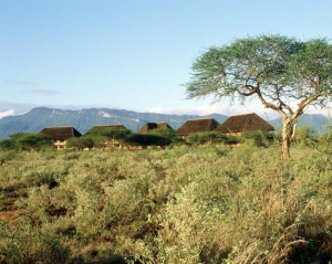 Ngutuni Safari Lodge