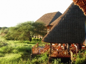 Ngutuni Safari Lodge